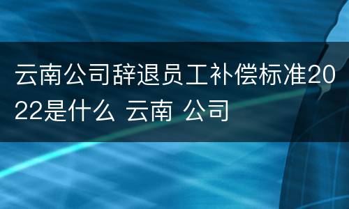 云南公司辞退员工补偿标准2022是什么 云南 公司