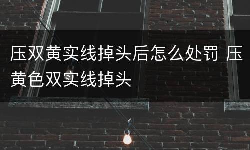 压双黄实线掉头后怎么处罚 压黄色双实线掉头