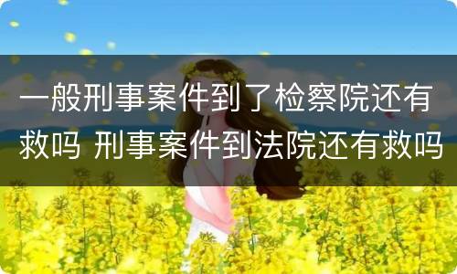 一般刑事案件到了检察院还有救吗 刑事案件到法院还有救吗