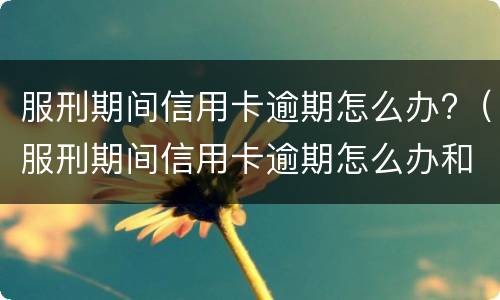 逾期信用卡透支有什么后果?（逾期信用卡透支有什么后果嘛）