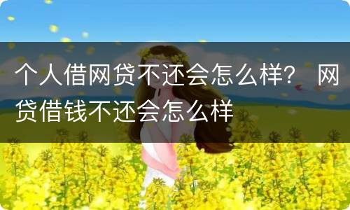 个人借网贷不还会怎么样？ 网贷借钱不还会怎么样