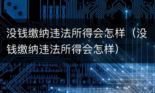 没钱缴纳违法所得会怎样（没钱缴纳违法所得会怎样）