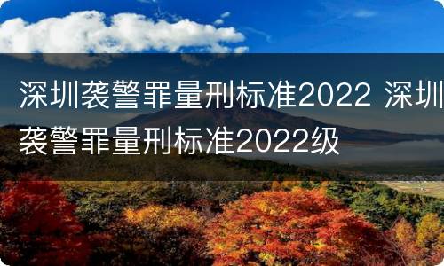 深圳袭警罪量刑标准2022 深圳袭警罪量刑标准2022级