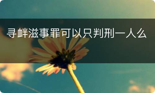 寻衅滋事罪可以只判刑一人么