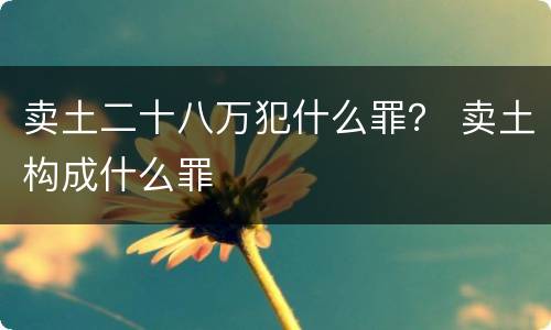 卖土二十八万犯什么罪？ 卖土构成什么罪