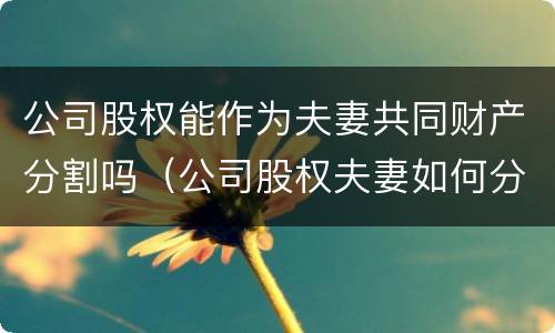 公司股权能作为夫妻共同财产分割吗（公司股权夫妻如何分配）