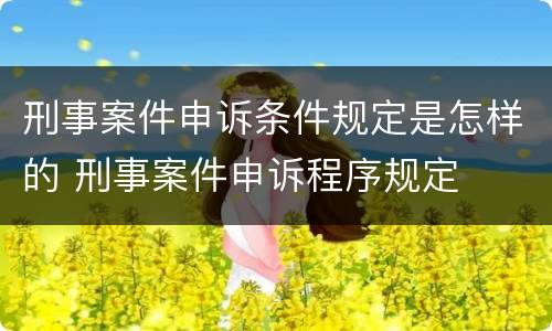刑事案件申诉条件规定是怎样的 刑事案件申诉程序规定