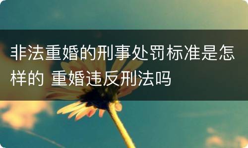 非法重婚的刑事处罚标准是怎样的 重婚违反刑法吗