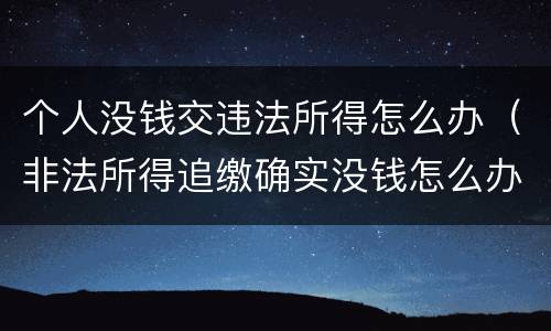 个人没钱交违法所得怎么办（非法所得追缴确实没钱怎么办）