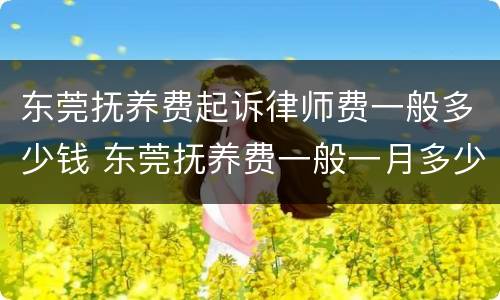 东莞抚养费起诉律师费一般多少钱 东莞抚养费一般一月多少钱