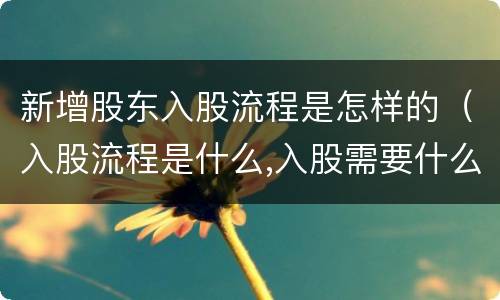 新增股东入股流程是怎样的（入股流程是什么,入股需要什么手续）
