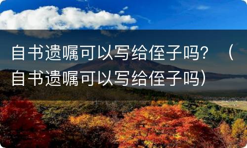 自书遗嘱可以写给侄子吗？（自书遗嘱可以写给侄子吗）
