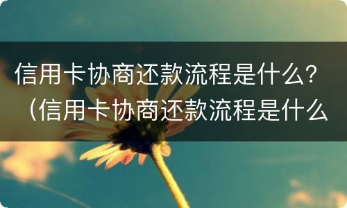 信用卡协商还款流程是什么？（信用卡协商还款流程是什么意思）