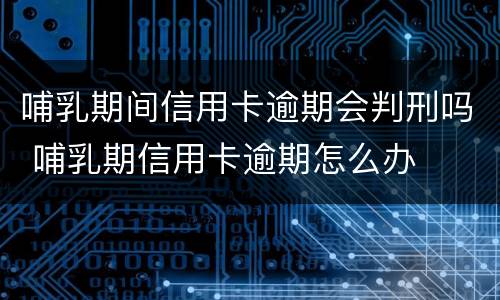 哺乳期间信用卡逾期会判刑吗 哺乳期信用卡逾期怎么办