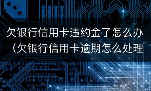 欠银行信用卡违约金了怎么办（欠银行信用卡逾期怎么处理）