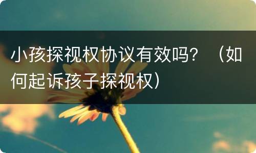 小孩探视权协议有效吗？（如何起诉孩子探视权）