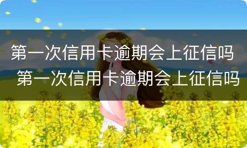 第一次信用卡逾期会上征信吗 第一次信用卡逾期会上征信吗怎么办