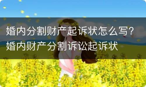 婚内分割财产起诉状怎么写? 婚内财产分割诉讼起诉状
