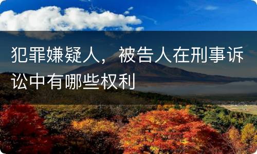 犯罪嫌疑人，被告人在刑事诉讼中有哪些权利