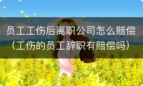 员工工伤后离职公司怎么赔偿（工伤的员工辞职有赔偿吗）