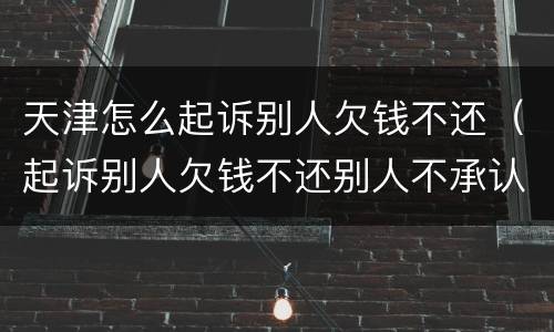天津怎么起诉别人欠钱不还（起诉别人欠钱不还别人不承认我该怎么办）