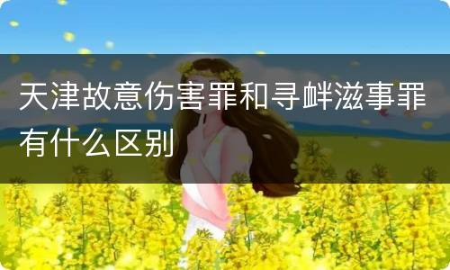 天津故意伤害罪和寻衅滋事罪有什么区别