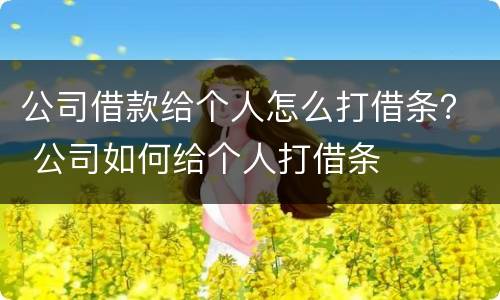 公司借款给个人怎么打借条？ 公司如何给个人打借条