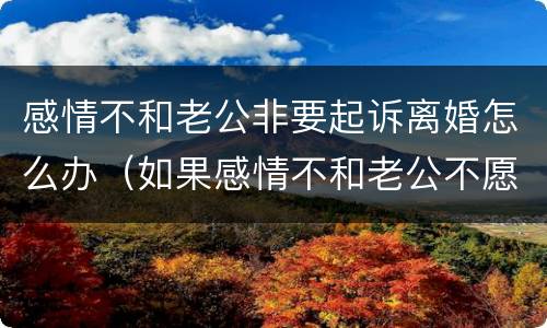 感情不和老公非要起诉离婚怎么办（如果感情不和老公不愿意离婚）