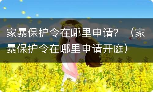 家暴保护令在哪里申请？（家暴保护令在哪里申请开庭）