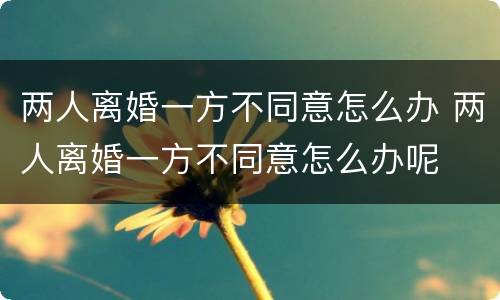 两人离婚一方不同意怎么办 两人离婚一方不同意怎么办呢