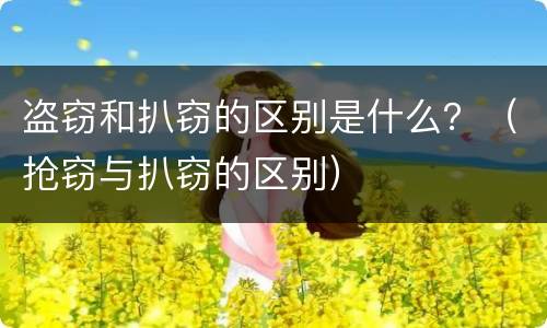 盗窃和扒窃的区别是什么？（抢窃与扒窃的区别）