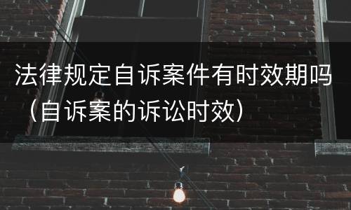 法律规定自诉案件有时效期吗（自诉案的诉讼时效）