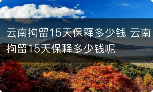云南拘留15天保释多少钱 云南拘留15天保释多少钱呢