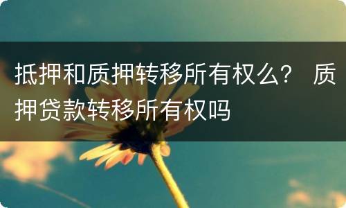 抵押和质押转移所有权么？ 质押贷款转移所有权吗