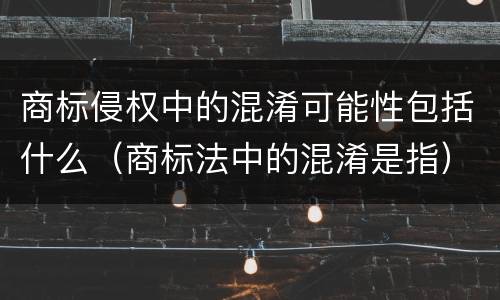 商标侵权中的混淆可能性包括什么（商标法中的混淆是指）