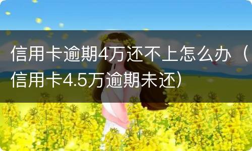 信用卡逾期4万还不上怎么办（信用卡4.5万逾期未还）