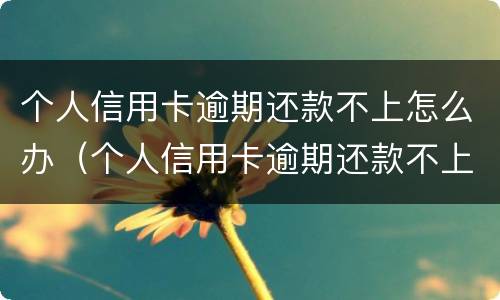 个人信用卡逾期还款不上怎么办（个人信用卡逾期还款不上怎么办呢）
