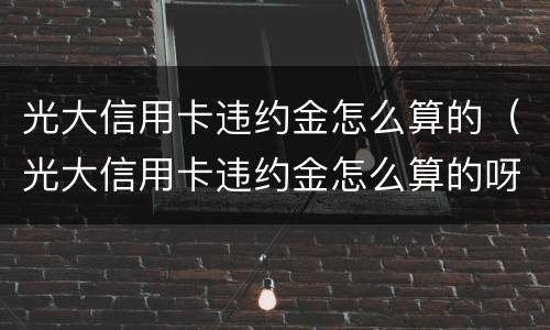 光大信用卡违约金怎么算的（光大信用卡违约金怎么算的呀）