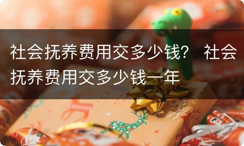 社会抚养费用交多少钱？ 社会抚养费用交多少钱一年