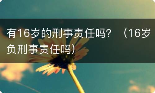 有16岁的刑事责任吗？（16岁负刑事责任吗）