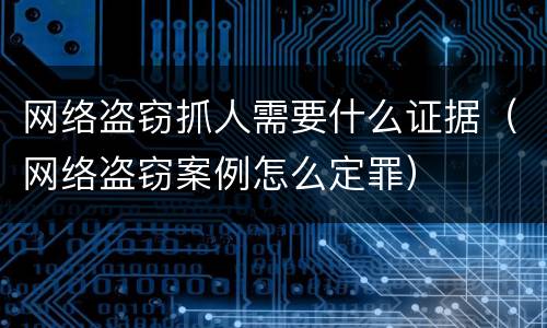 网络盗窃抓人需要什么证据（网络盗窃案例怎么定罪）