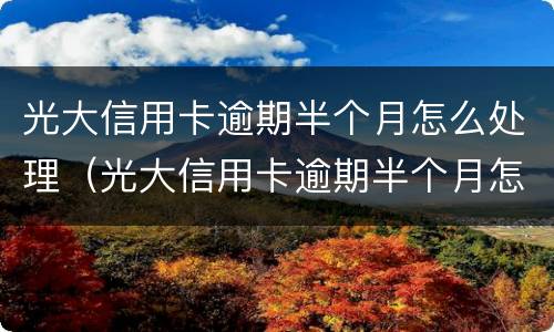 光大信用卡逾期半个月怎么处理（光大信用卡逾期半个月怎么处理的）