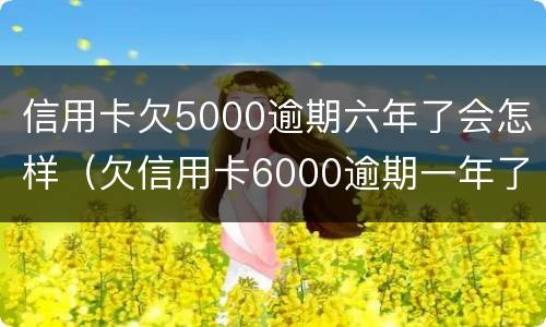 信用卡欠5000逾期六年了会怎样（欠信用卡6000逾期一年了）