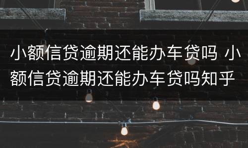小额信贷逾期还能办车贷吗 小额信贷逾期还能办车贷吗知乎