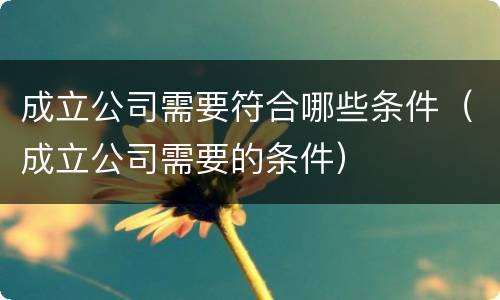 成立公司需要符合哪些条件（成立公司需要的条件）