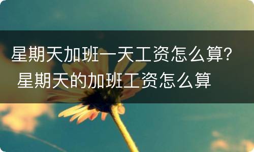 星期天加班一天工资怎么算？ 星期天的加班工资怎么算