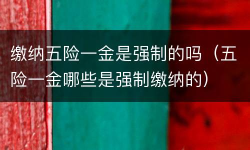缴纳五险一金是强制的吗（五险一金哪些是强制缴纳的）