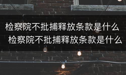 检察院不批捕释放条款是什么 检察院不批捕释放条款是什么意思