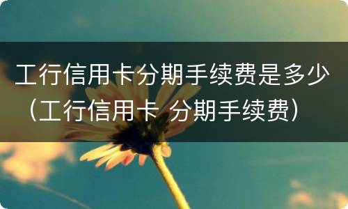 工行信用卡分期手续费是多少（工行信用卡 分期手续费）