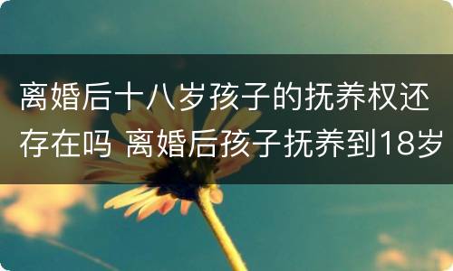 离婚后十八岁孩子的抚养权还存在吗 离婚后孩子抚养到18岁
